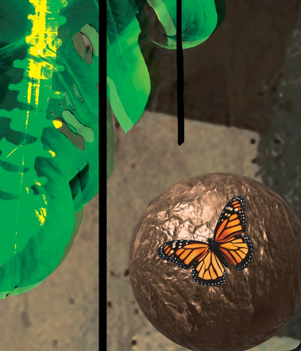 Life Monstera butterfly and copper detail