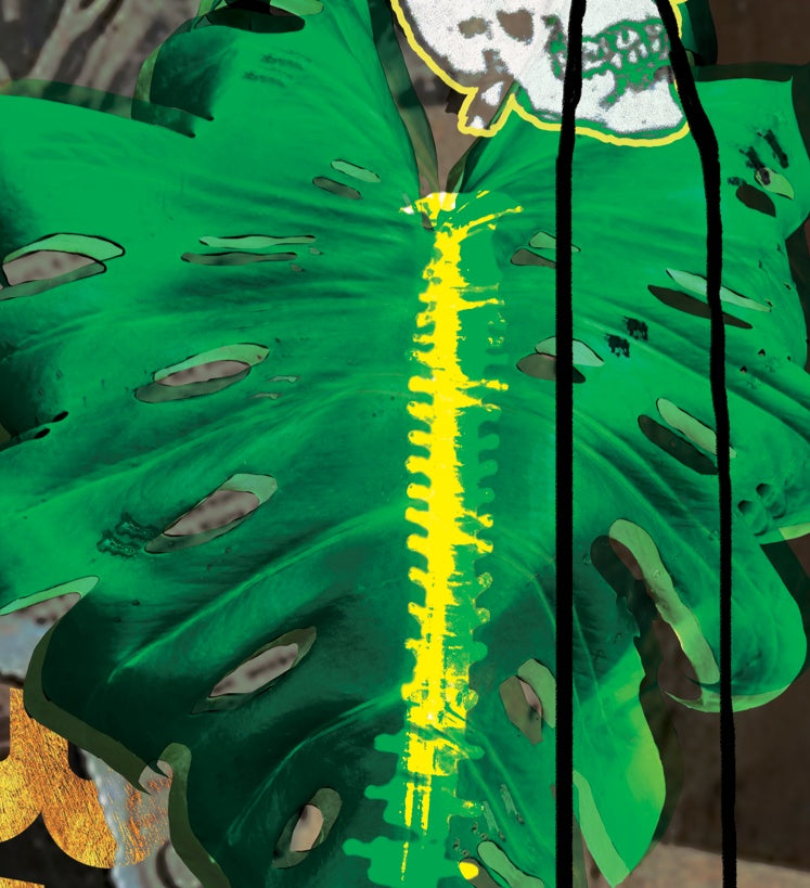 Life Monstera 11 × 17 art print detail